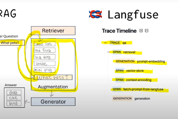 Work With Langfuse